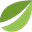 Bitfinex